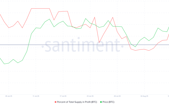 Bitcoin Supply In Profit