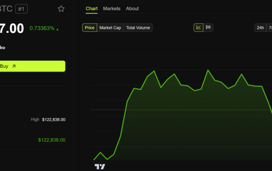 Bitcoin (BTC) Price Performance
