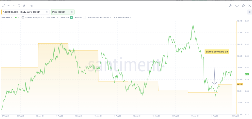 Dogecoin whales are buying the dip