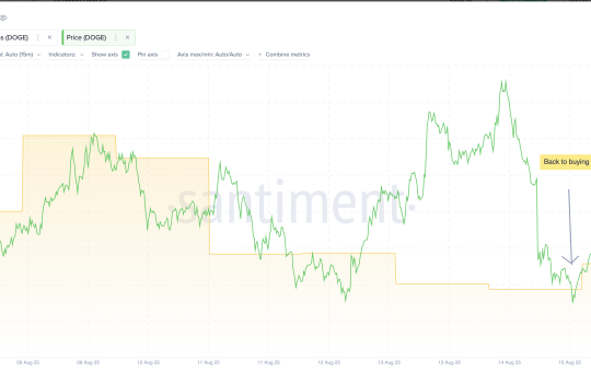 Dogecoin whales are buying the dip
