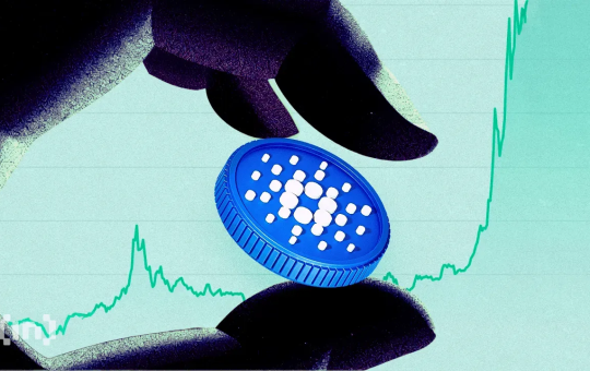 Will Cardano Whales Drive a Rebound for ADA Price After Crash?