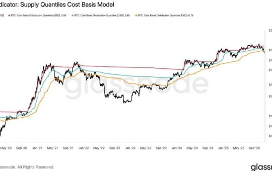 Bitcoin falls below key bear-market line, Glassnode analysis reveals