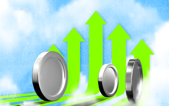 Quick Survival Guide for Altcoin Traders Amid November Fear