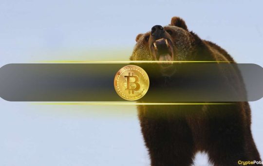 Michael Saylor’s Strategy Is Bracing For a Bear Market: CryptoQuant