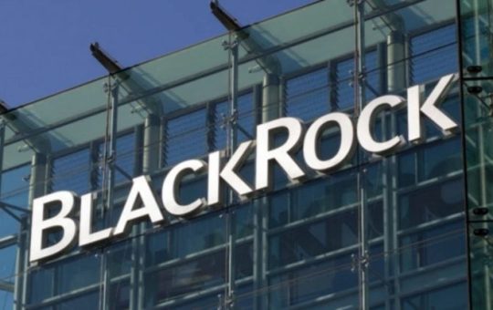 Tokenization may be quietly entering its pre-boom internet phase: BlackRock CEO