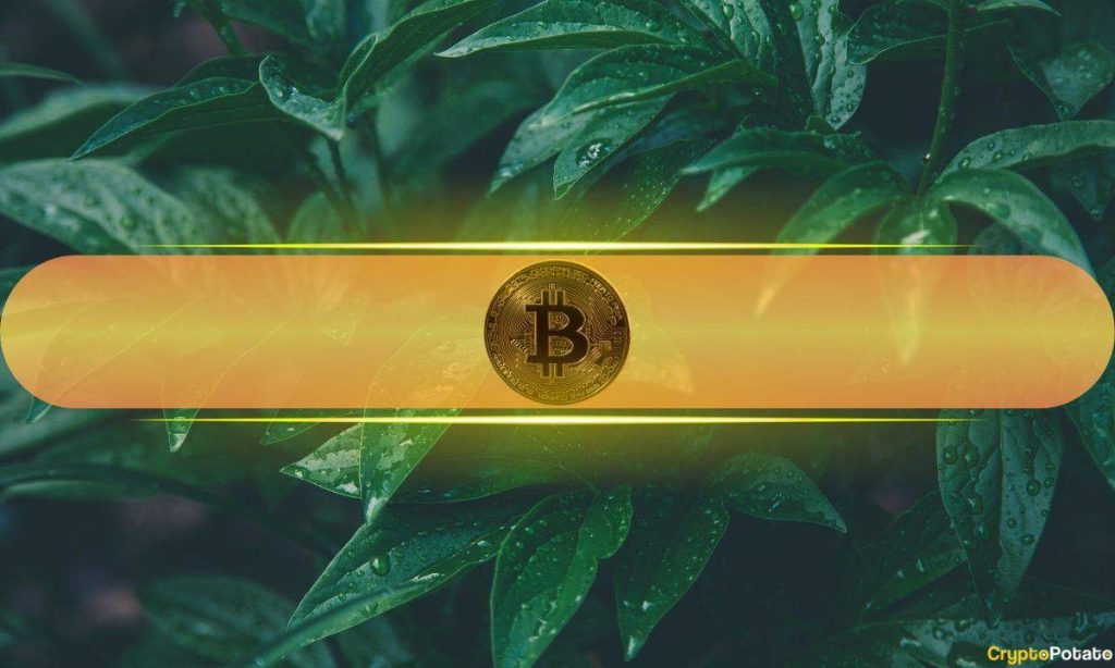 Analysts Eye 'Insane Reversal' in Markets as Bitcoin Touched $70K
