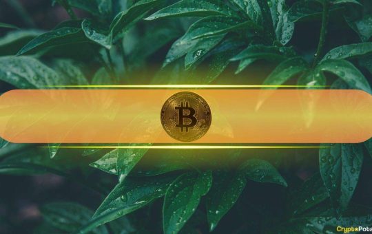 Analysts Eye 'Insane Reversal' in Markets as Bitcoin Touched $70K