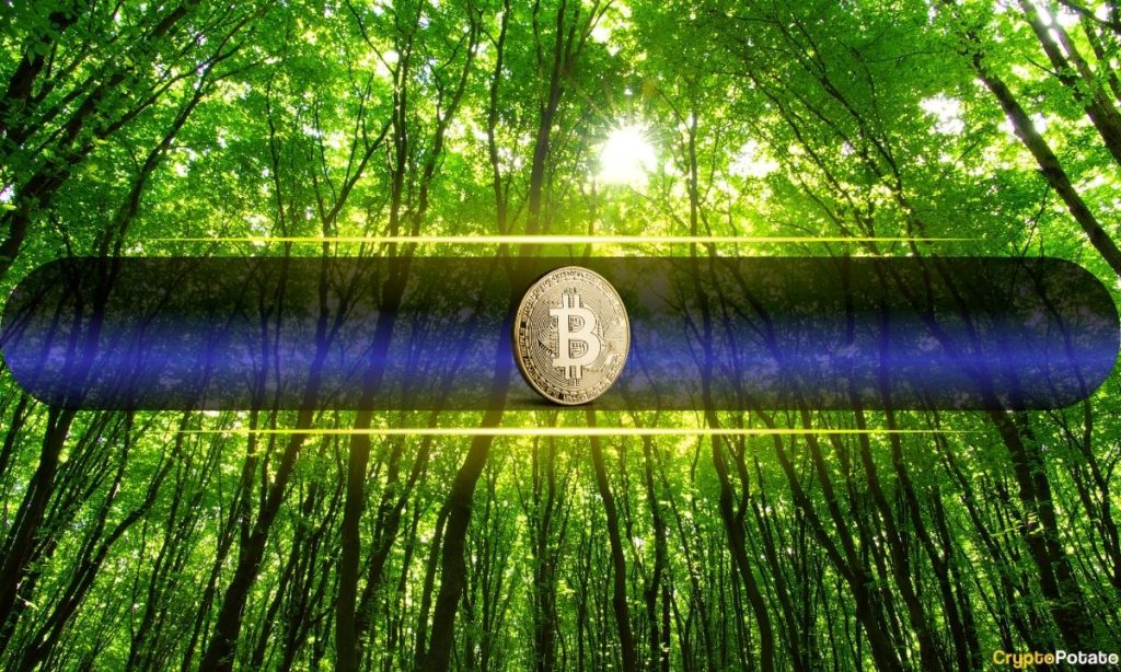 Bitcoin Surges to Six-Week High as Bulls Eye $80K