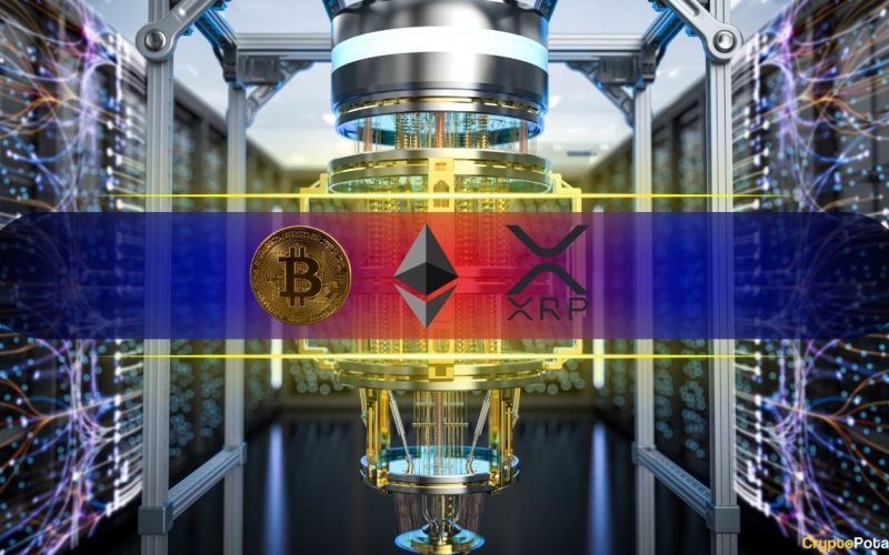 Ranking the Most and Least Quantum-Resistant Assets