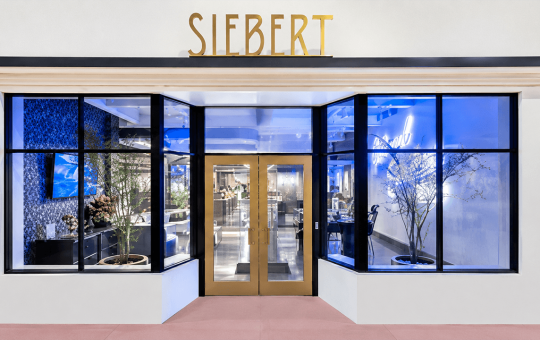 Siebert Joins Tokenized Securities Race, Selects Tzero as Infrastructure Partner