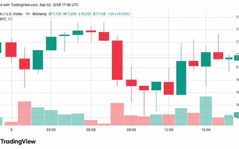 Bitcoin Price Resists $76K Dip as Analyst Flags Next Buy Zone at $74K