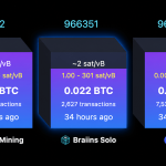 Solo Bitcoin Miner Hits $244K Jackpot After Nearly 40-Day Drought