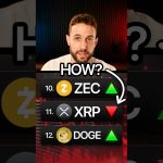 XRP Will FAIL If This Happens